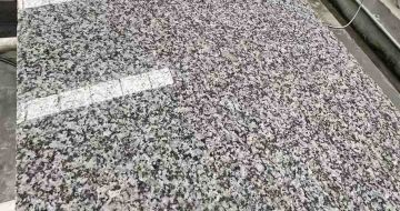 周口 芙蓉白光面