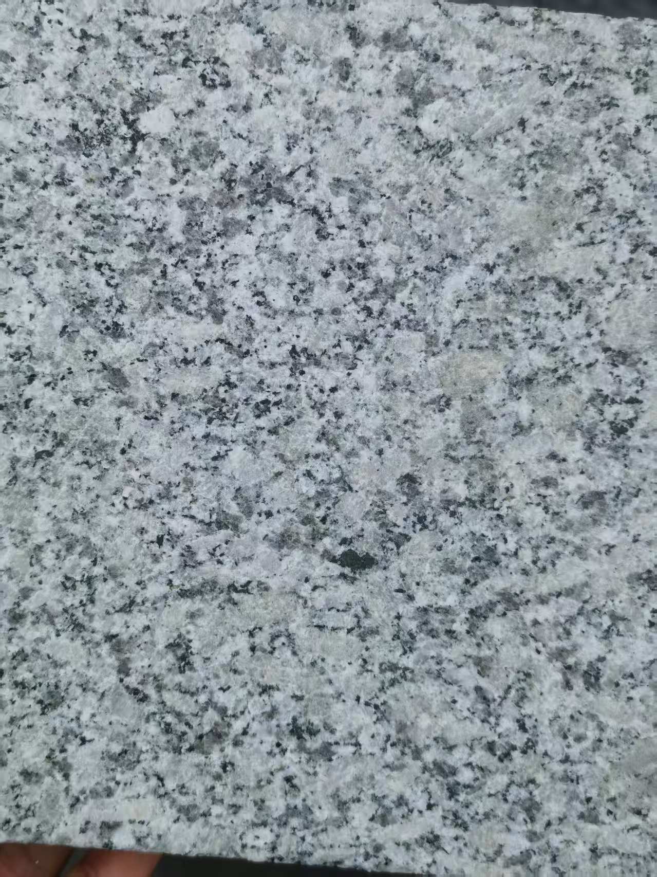周口 芙蓉白火烧面