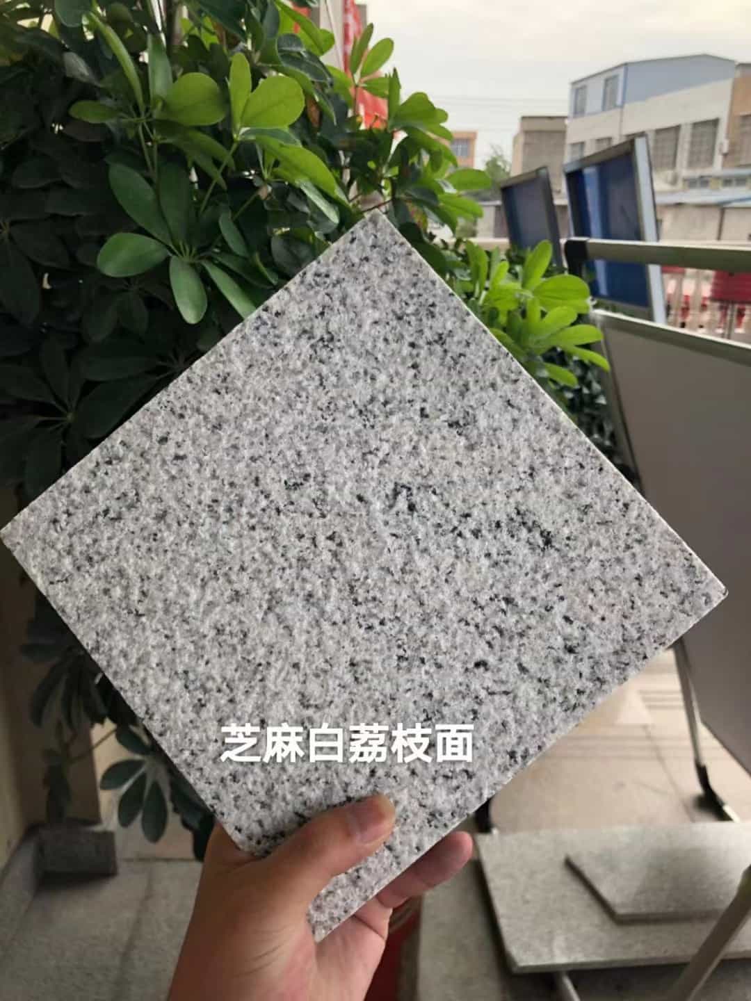 周口 芝麻白荔枝面干挂