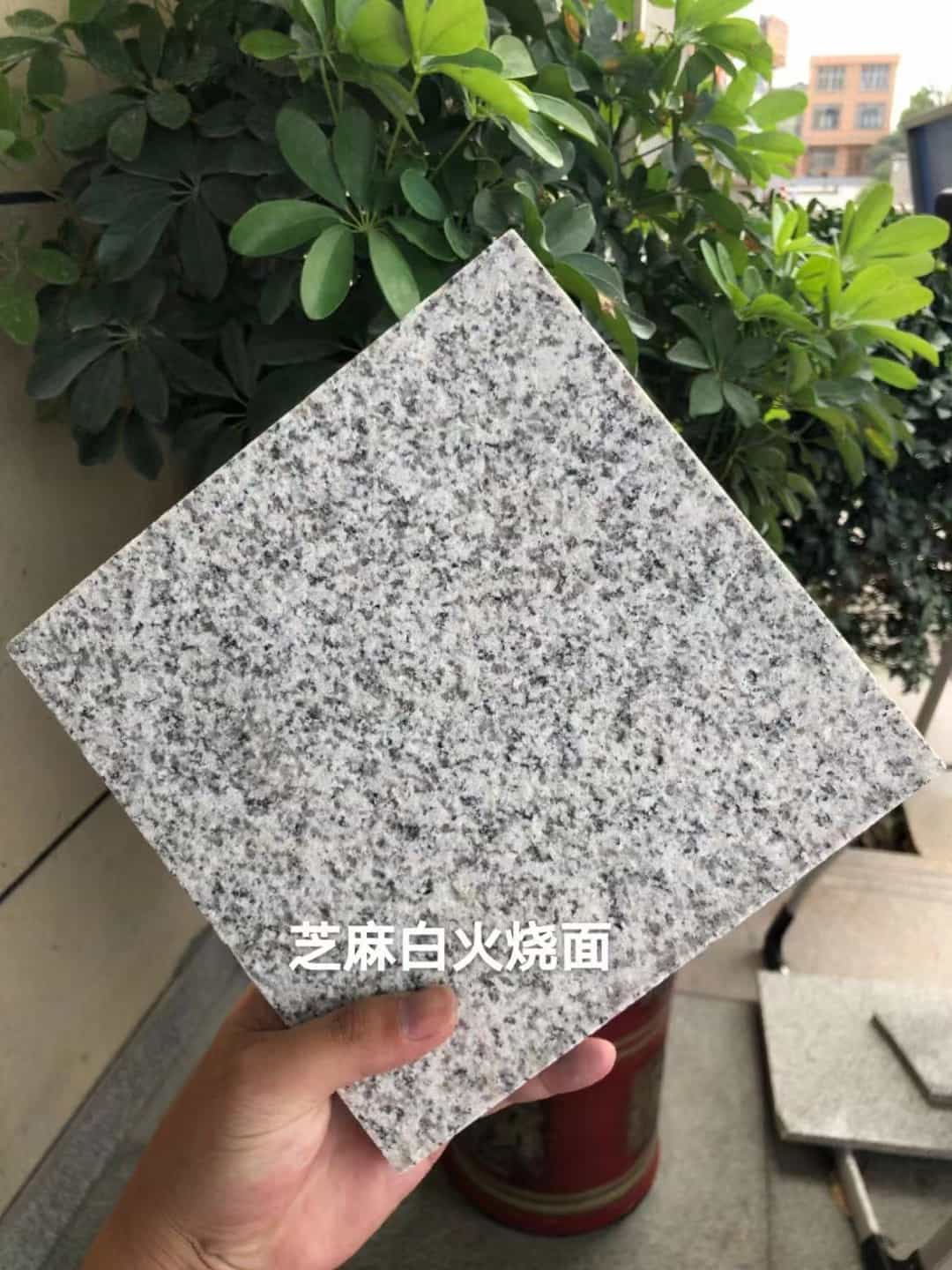 周口芝麻白火烧面地铺