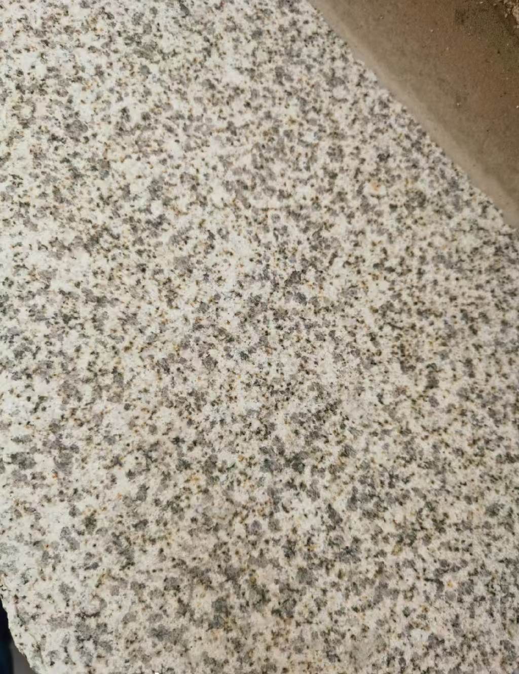 周口 黄金麻中黄光面